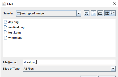 Saving the encrypted image